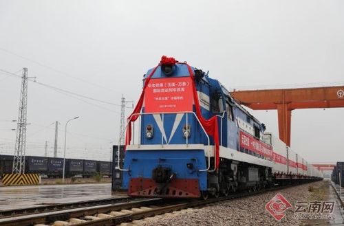 中老鐵路開(kāi)通首月成效顯著 大通道激發(fā)沿線(xiàn)產(chǎn)業(yè)新活力